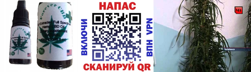 mega онион  сколько стоит  Новотроицк  Еда ТГК конопля 