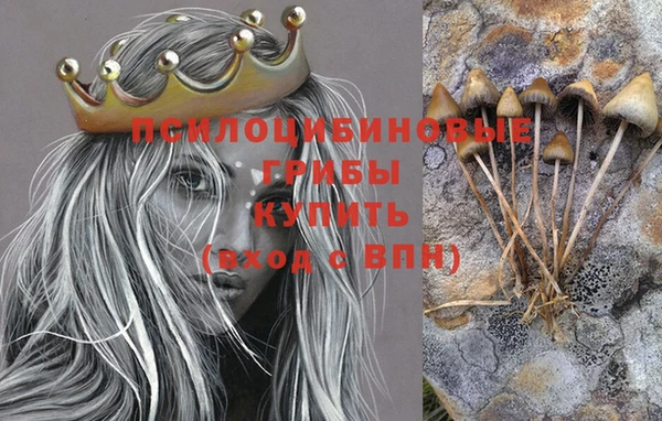 бошки Протвино