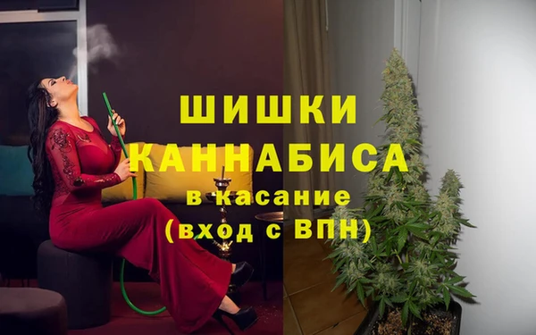 мдпв Абинск